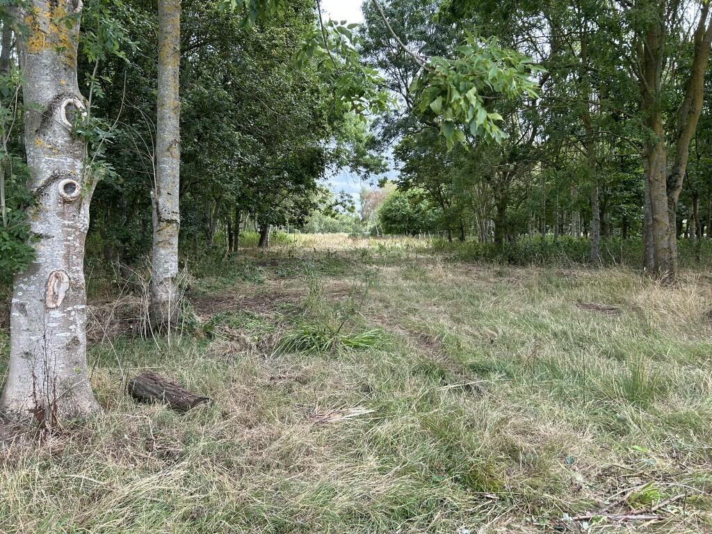 Additional image 15 of 6.079 Acres Wodland, Pelham Lane, Great Alne, Alcester