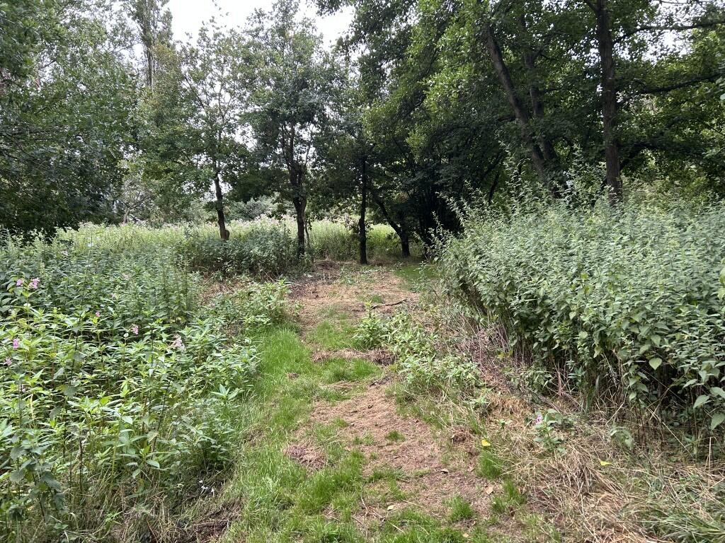 Additional image 6 of 6.079 Acres Wodland, Pelham Lane, Great Alne, Alcester