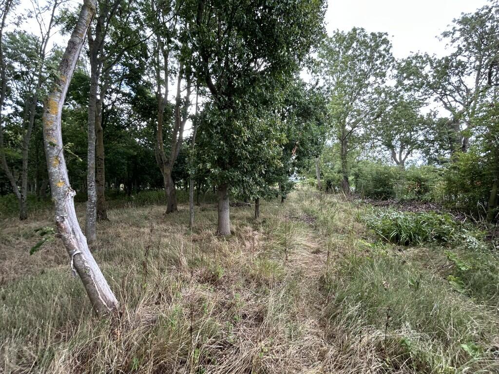 Additional image 4 of 6.079 Acres Wodland, Pelham Lane, Great Alne, Alcester