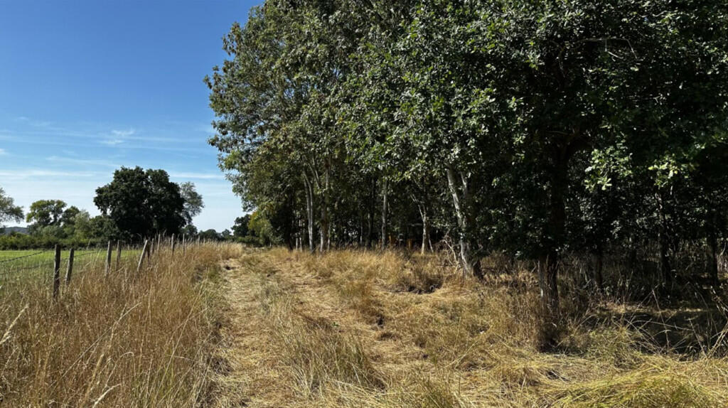 Additional image 16 of 6.079 Acres Wodland, Pelham Lane, Great Alne, Alcester