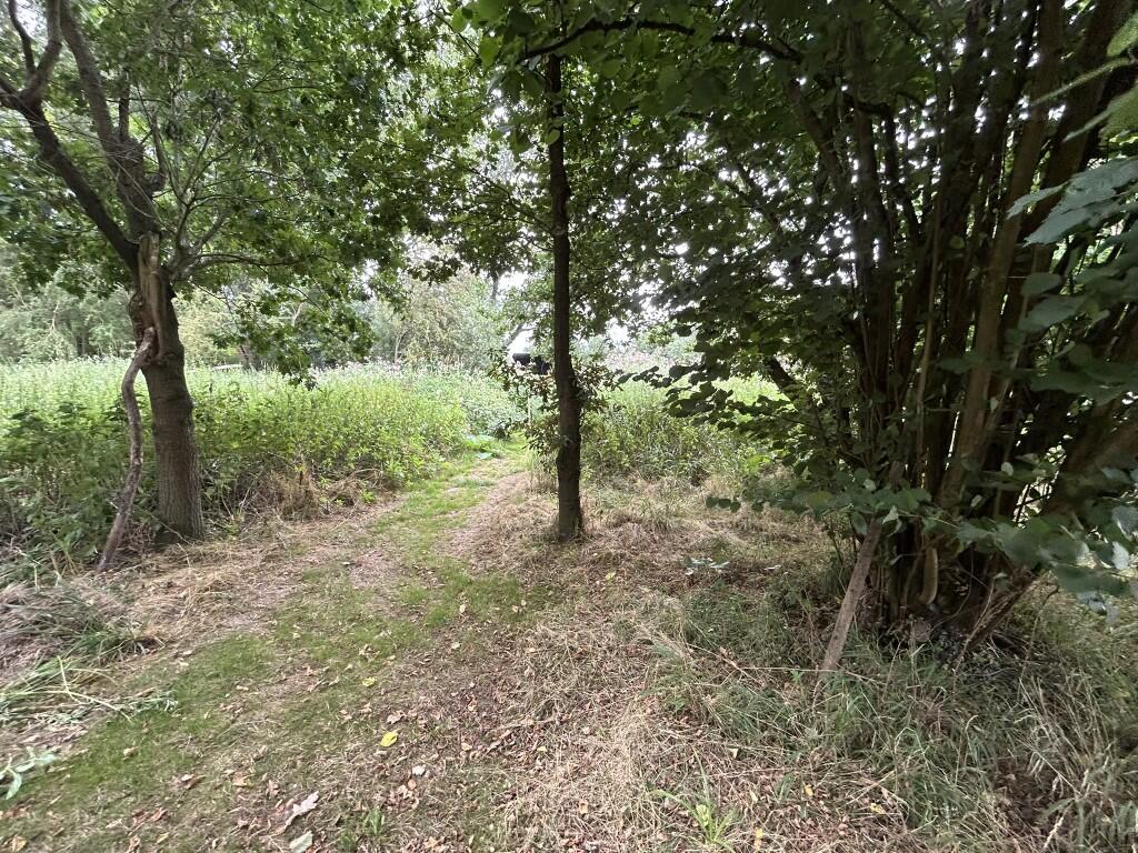 Additional image 3 of 6.079 Acres Wodland, Pelham Lane, Great Alne, Alcester