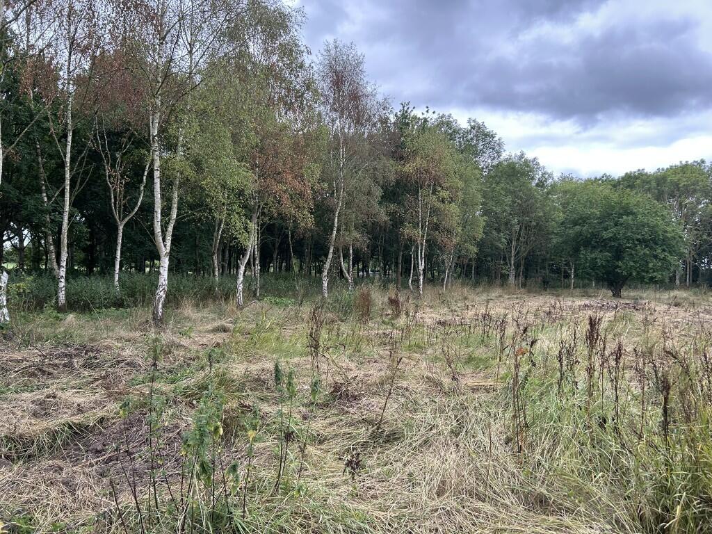 Additional image 11 of 6.079 Acres Wodland, Pelham Lane, Great Alne, Alcester