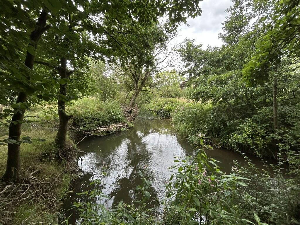 Additional image 17 of 6.079 Acres Wodland, Pelham Lane, Great Alne, Alcester