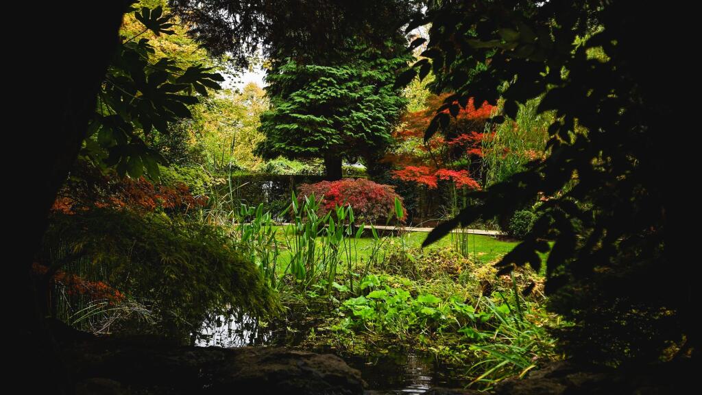 Additional image 27 of Luttrell Road, Four Oaks Estate, B74