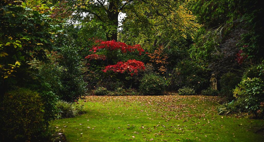 Additional image 30 of Luttrell Road, Four Oaks Estate, B74