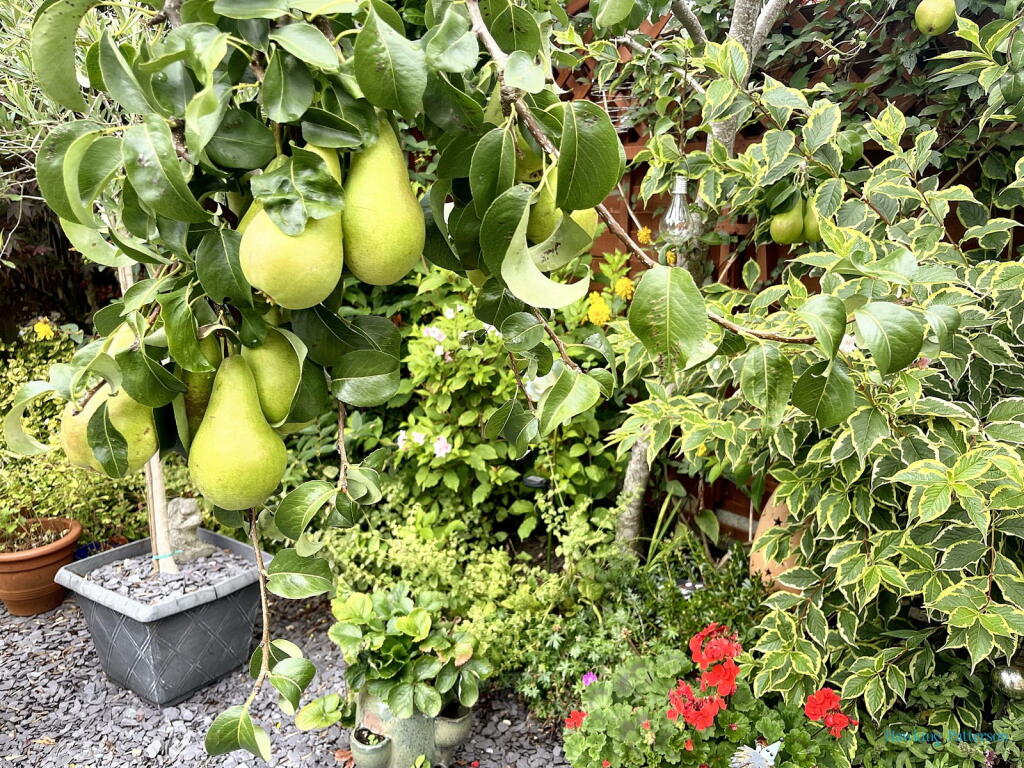 Additional image 17 of Littlewood Close, Hillfield, Solihull, B91 3UT