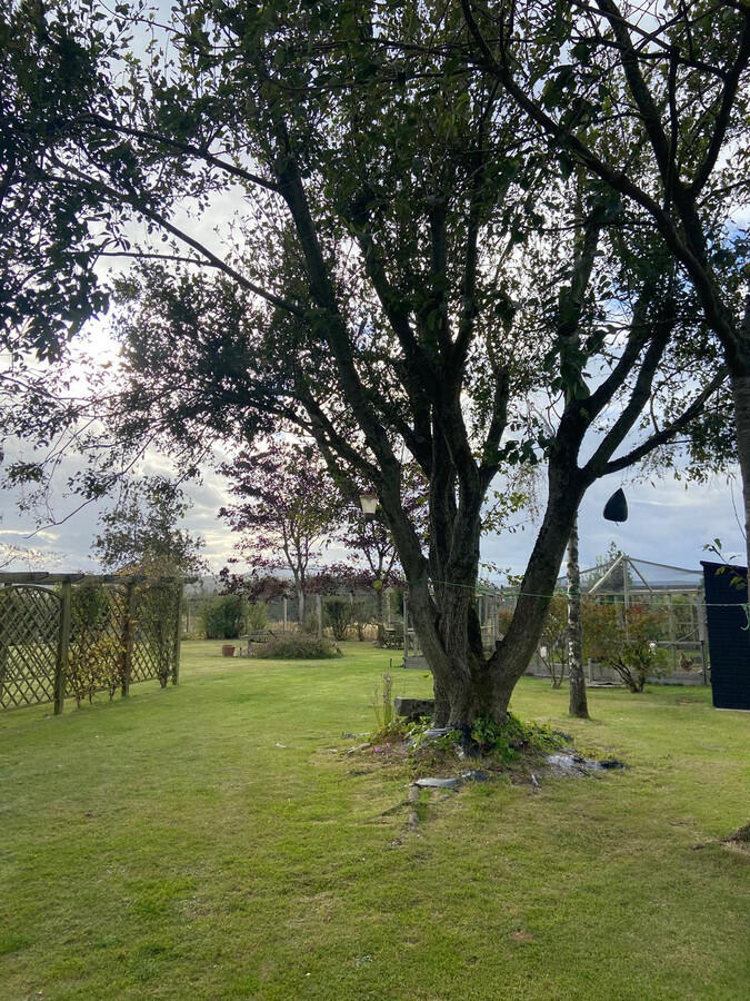 Additional image 39 of Ord Farmhouse, Banff, AB45