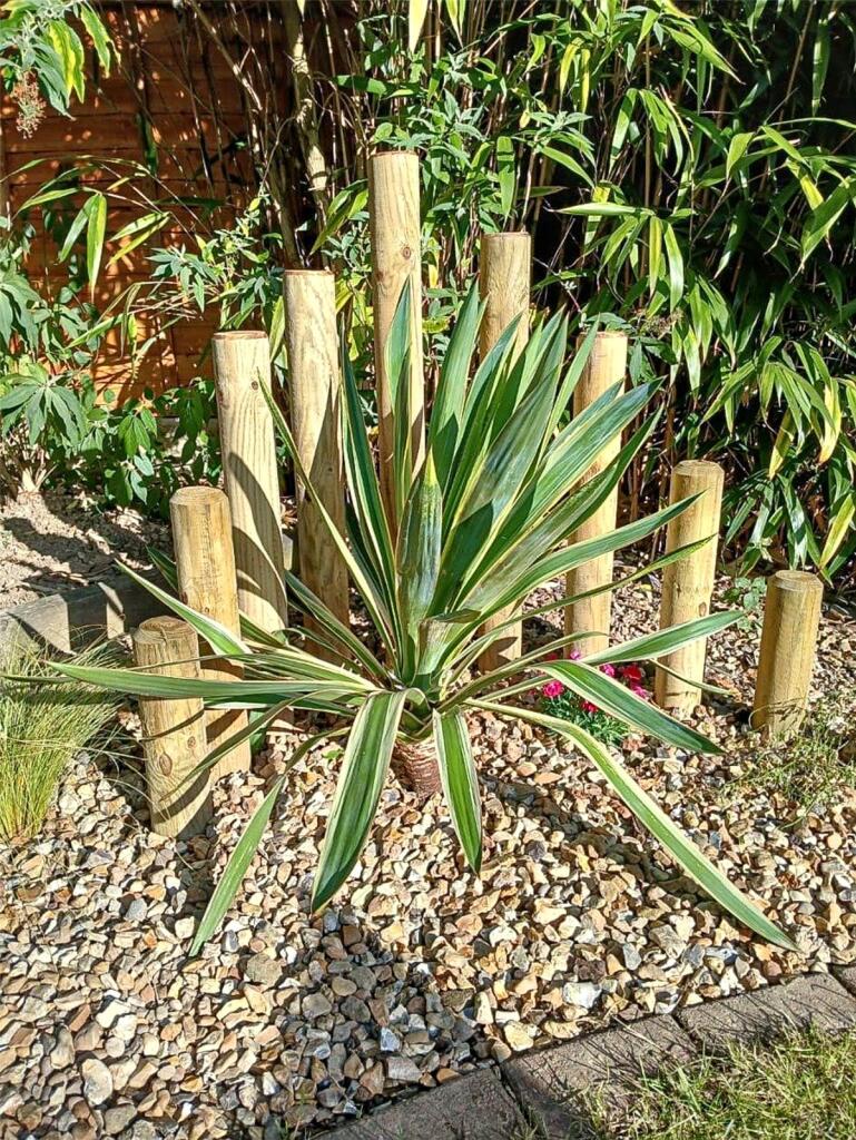 Additional image 29 of Deltic, Tamworth, Staffordshire, B77