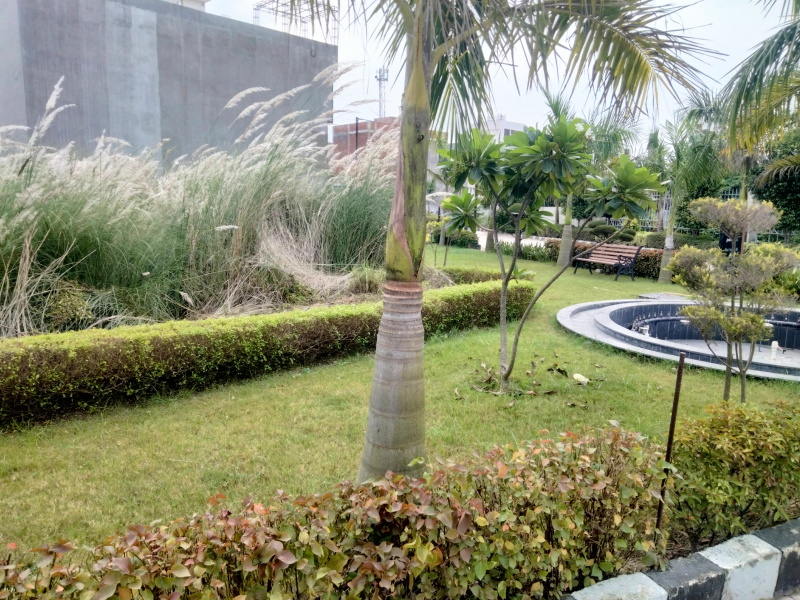 Additional image 2 of Gosainganj, Lucknow