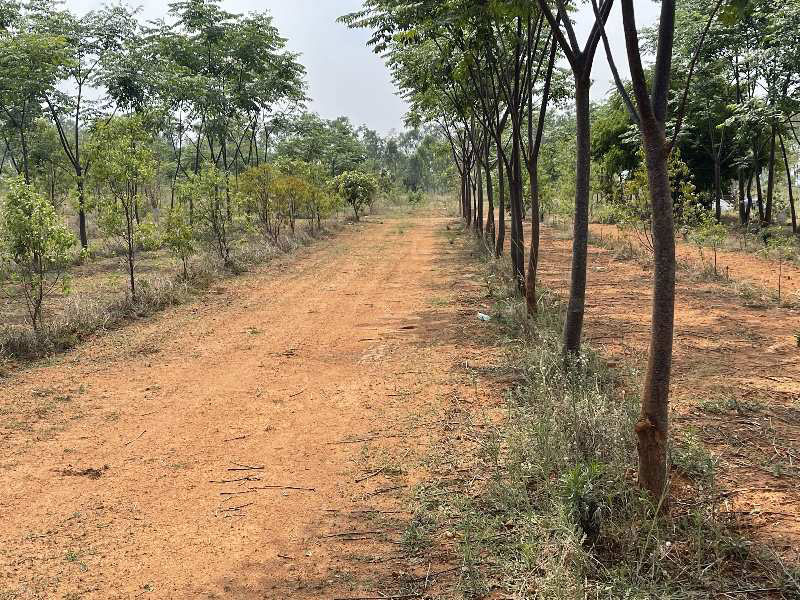 Additional image 2 of Anekal, Bangalore