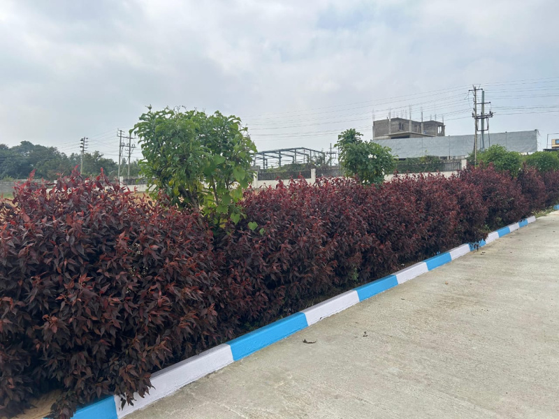 Property image for Banashankari, Bangalore