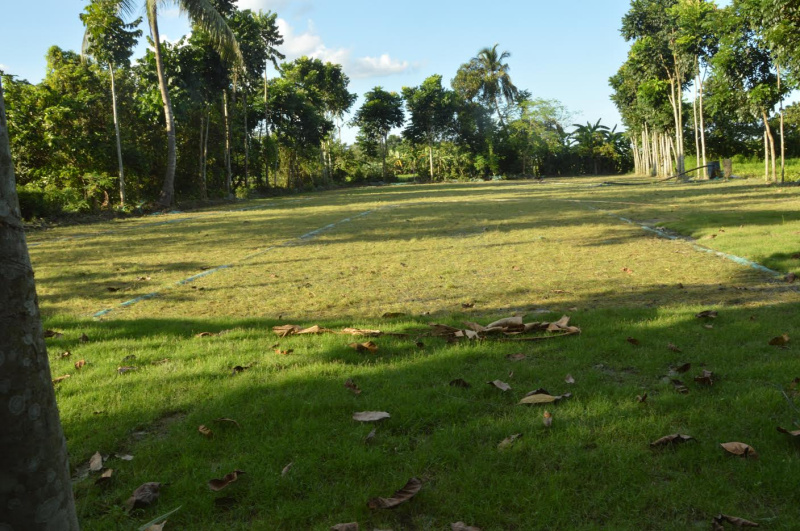 Additional image 3 of Omarhati, Kolkata