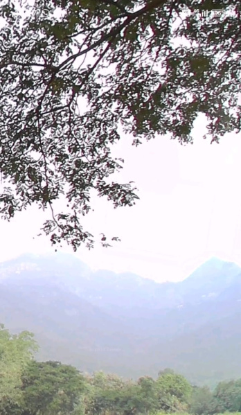 Property image for Mettupalayam Coimbatore, Coimbatore