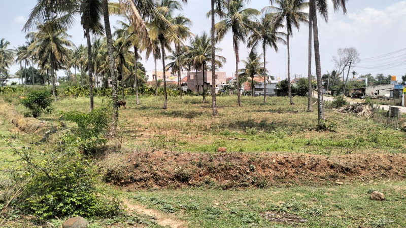 Additional image 2 of Billekahalli, Bangalore