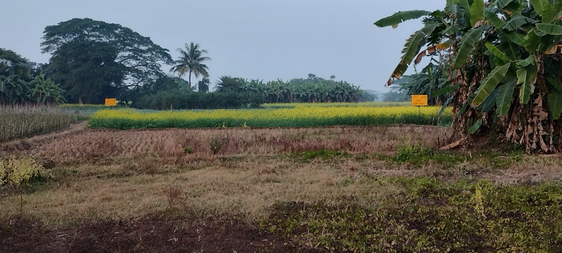 Property image for Omarhati, Kolkata