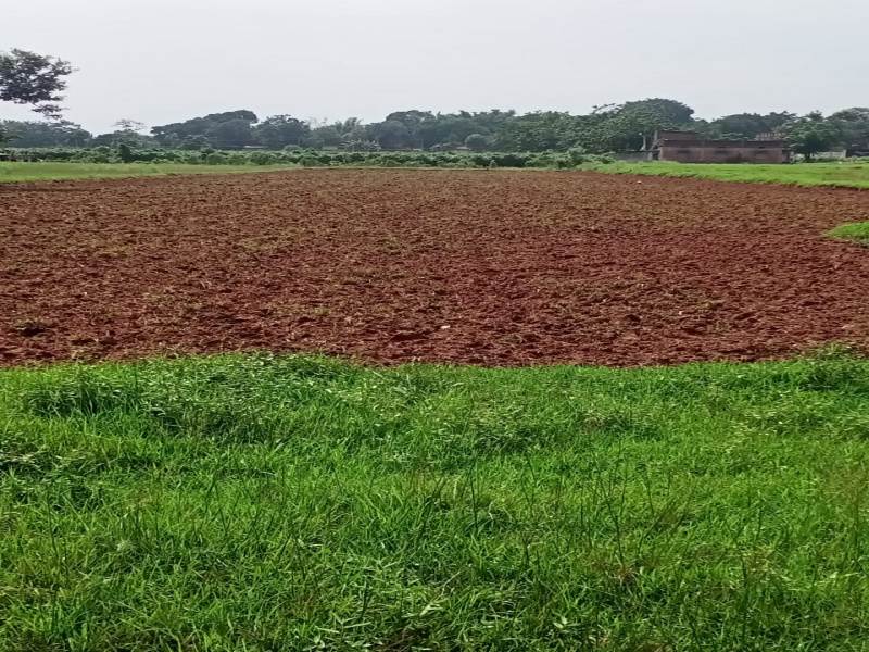 Additional image 3 of Itki, Ranchi