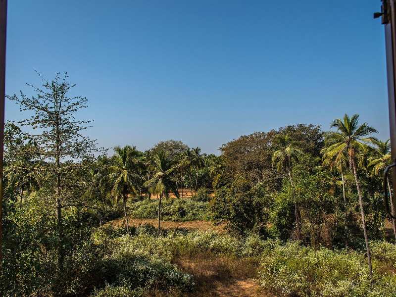 Additional image 3 of Siolim, Bardez, Goa