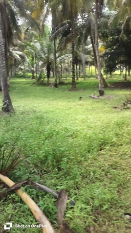 Additional image 3 of Ring Road, Mysore