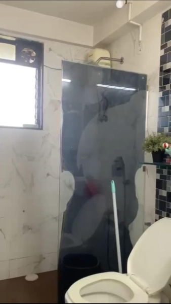 Additional image 3 of Agripada, Mumbai