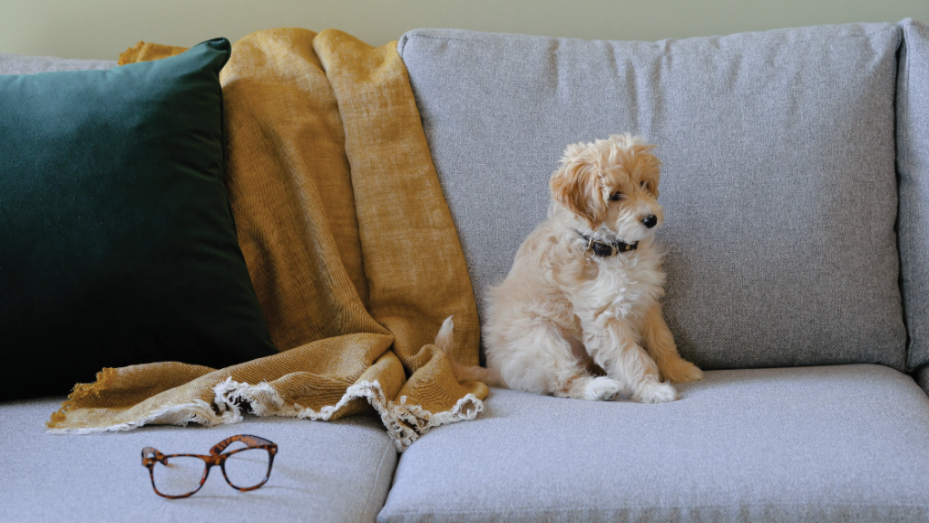 Additional image 15 of Lower Essex Street , Birmingham, B5