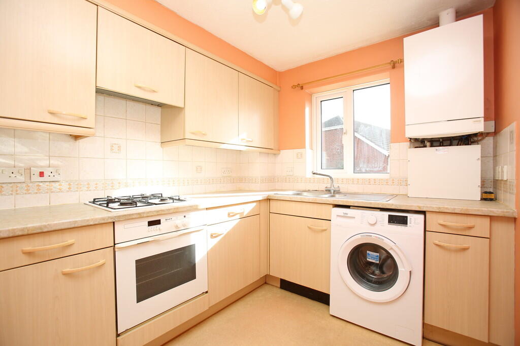 Additional image 4 of Celandine, Kettlebrook