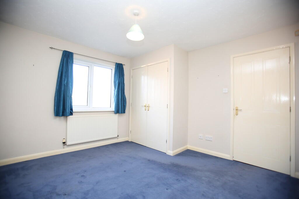 Additional image 7 of Celandine, Kettlebrook