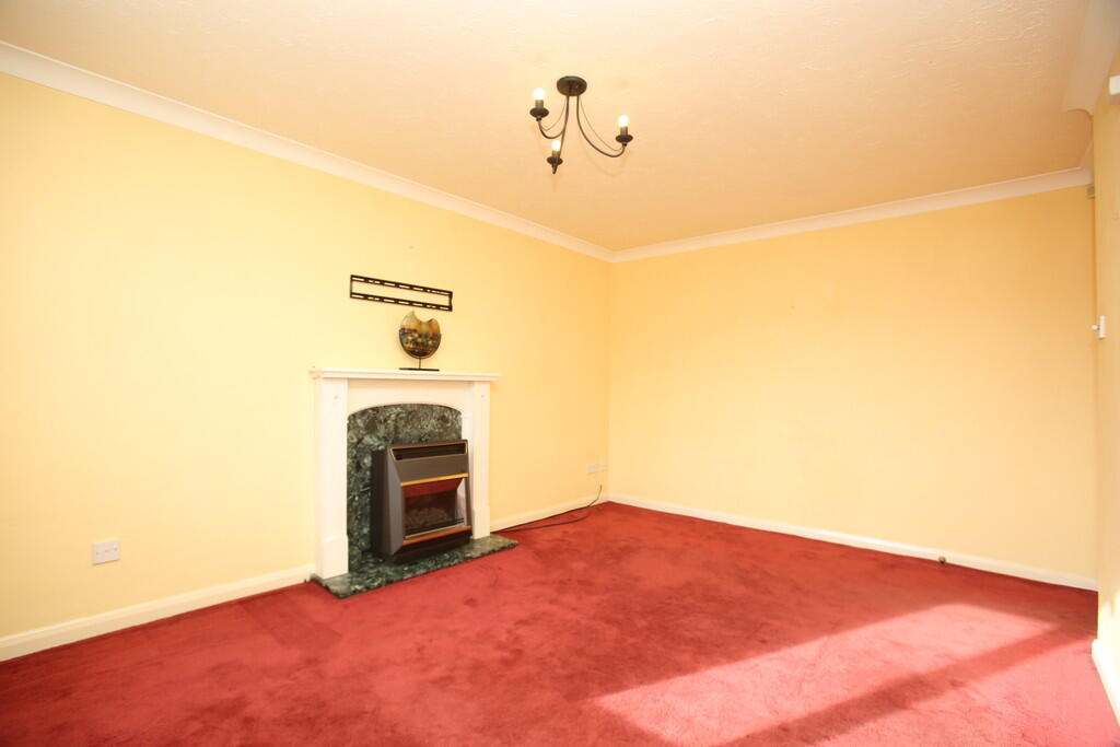 Additional image 3 of Celandine, Kettlebrook