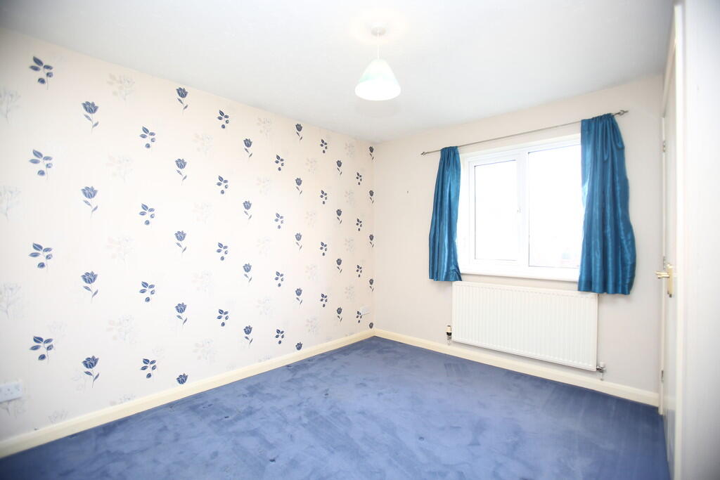 Additional image 6 of Celandine, Kettlebrook