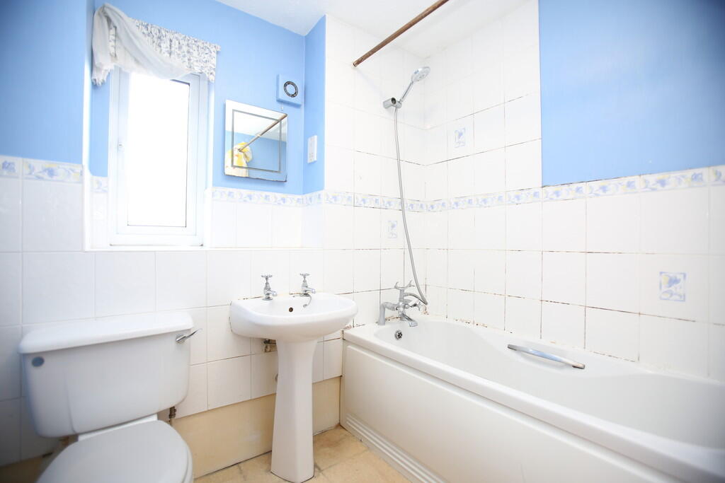 Additional image 9 of Celandine, Kettlebrook