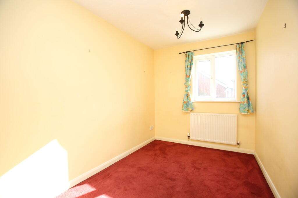 Additional image 8 of Celandine, Kettlebrook