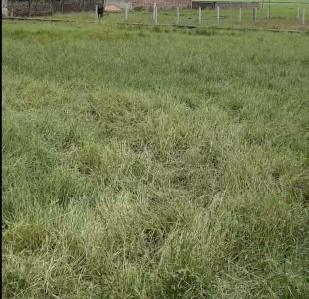 Property image for Daladili, Ranchi