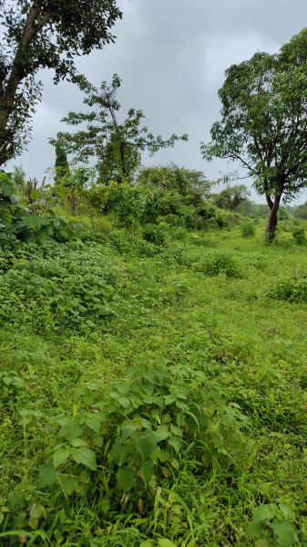 Additional image 3 of Karivali, Thane