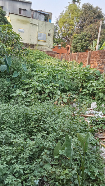 Additional image 3 of Boral Main Road, Kolkata