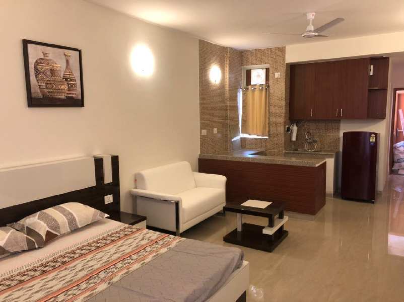 Primary image of Neemrana, Alwar