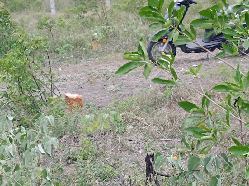 Saravanampatti, Coimbatore