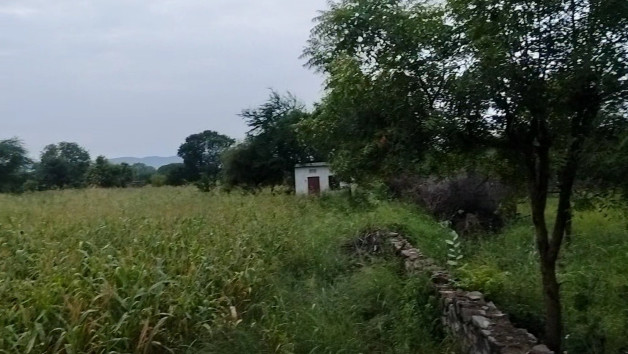 Additional image 2 of Dabok, Udaipur