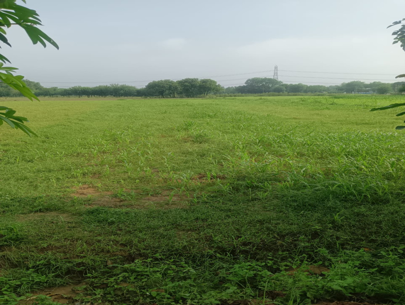 Additional image 2 of Sohna Road, Faridabad