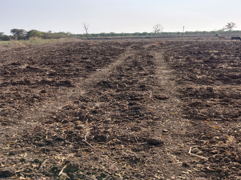 Additional image 3 of Katol, Nagpur