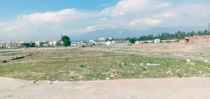 Additional image 2 of Shimla Bypass, Dehradun