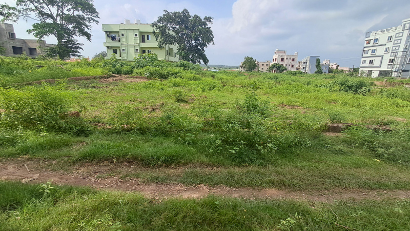 Additional image 3 of Daruthenga, Bhubaneswar