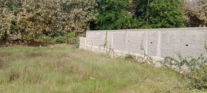 Property image for Kidaripatti, Madurai