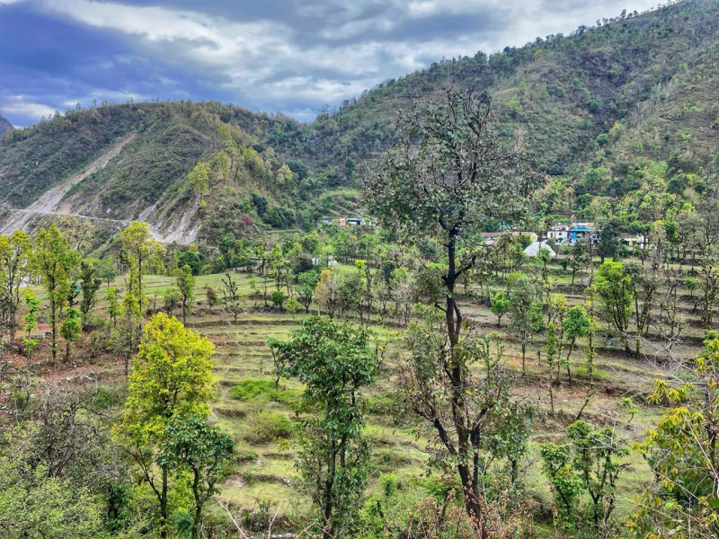 Additional image 2 of Dehradun