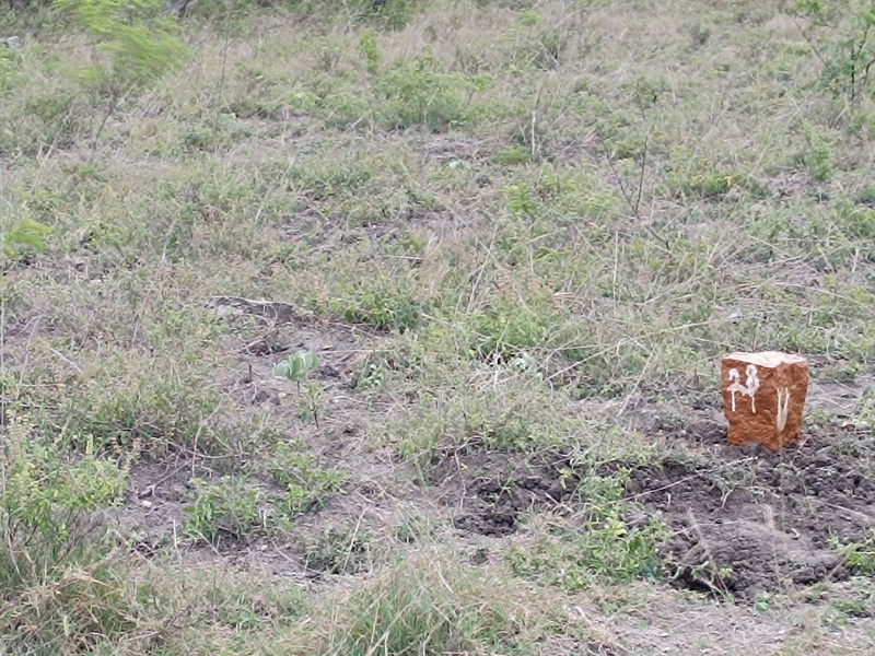 Additional image 2 of Saravanampatti, Coimbatore