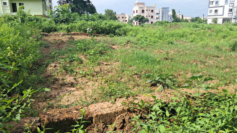 Additional image 2 of Daruthenga, Bhubaneswar