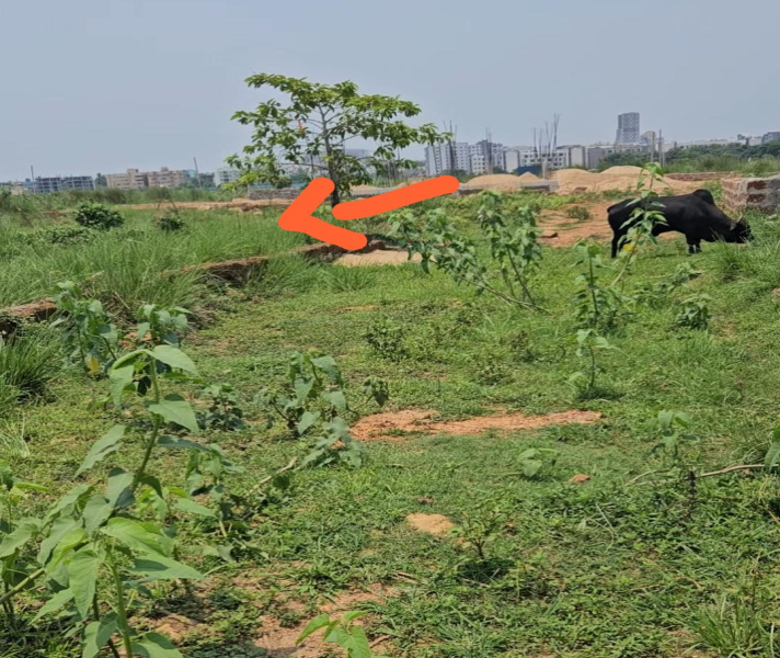 Additional image 2 of Daruthenga, Bhubaneswar