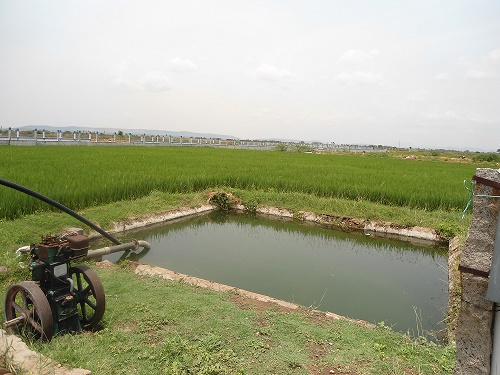 Additional image 3 of Sikkandar Chavadi, Madurai
