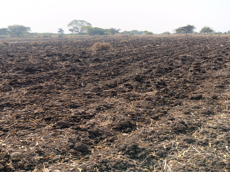 Additional image 2 of Katol, Nagpur