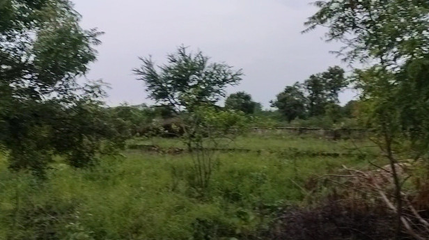 Property image for Dabok, Udaipur