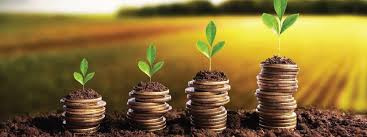 Primary image of Daruthenga, Bhubaneswar