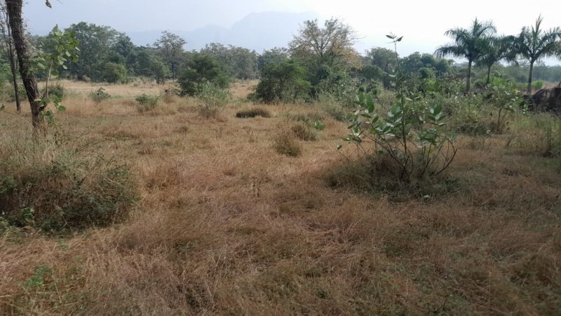 Additional image 2 of Murbad MIDC, Thane